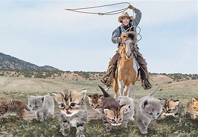 a painting of a cowboy on horseback herding kittens